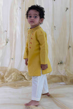 Load image into Gallery viewer, Chidiya Udd Zari Kurta Set - Yellow

